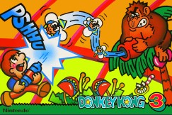 Donkey Kong 3 - ARCADE | VideoGameX