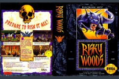 Risky Woods - Sega Genesis | VideoGameX