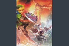 Hyrule Warriors Collector's Guide - Strategy Guides | VideoGameX