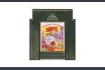 Fantastic Adventures of Dizzy [Camerica] - Nintendo NES | VideoGameX