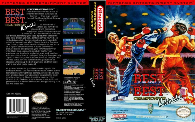 Best of the Best: Championship Karate - Nintendo NES | VideoGameX