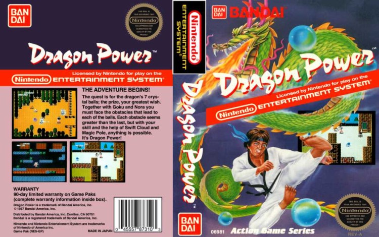 Dragon Power - Nintendo NES | VideoGameX