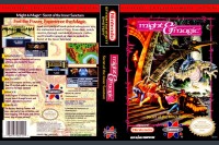Might & Magic: Secret of the Inner Sanctum - Nintendo NES | VideoGameX