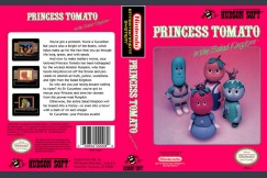 Princess Tomato in the Salad Kingdom - Nintendo NES | VideoGameX