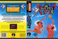 Venice Beach Volleyball - Nintendo NES | VideoGameX