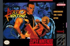 Art of Fighting - Super Nintendo | VideoGameX
