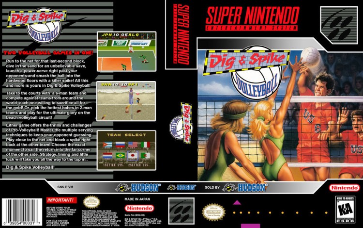 Dig & Spike Volleyball - Super Nintendo | VideoGameX