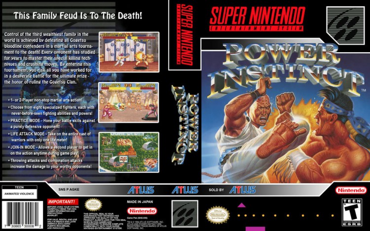 Power Instinct - Super Nintendo | VideoGameX