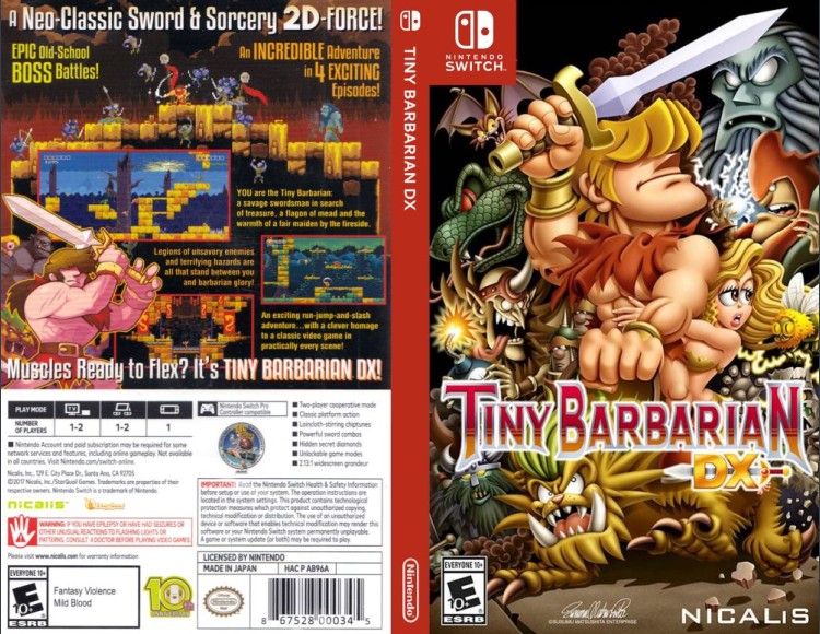 Tiny Barbarian DX - Switch | VideoGameX